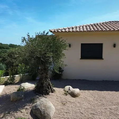 Neuve D'exception 6ch Piscine